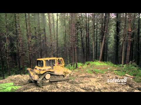 Safetree - How to - Machine assist for hung up trees