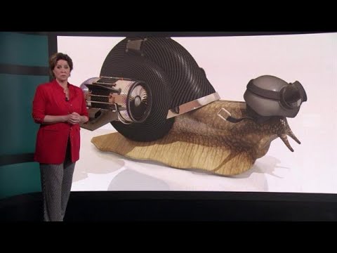 De voordelen van een hogere olieprijs - RTL Z NIEUWS