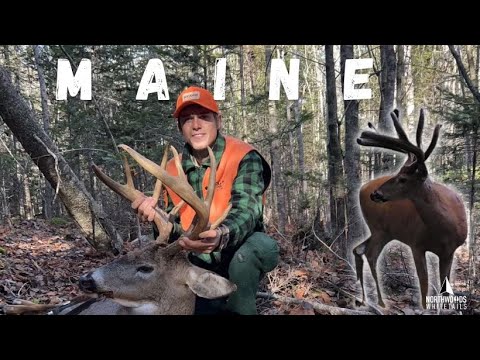 Giant Maine Buck!! Connors quest