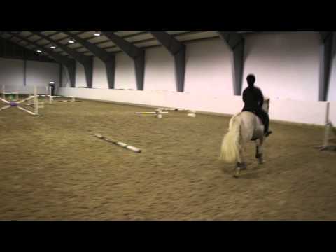 Sprangtime - 14.01.16