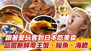 跟著愛玩客到日本吃美食　品嚐新鮮帝王蟹