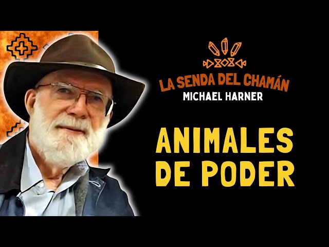 Vídeo relacionado con Misión: sobrevivir (La senda del Chamán Libro 1): Serie LitRPG