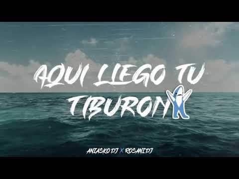 Aqui llego Tu Tiburón