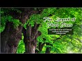 The Legend Of Three Trees