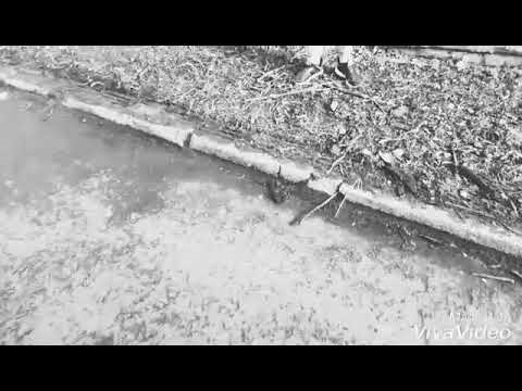 JAYOU feat. PRINCE A.K - NEWCOMER SHIT (Beat by Beatz Era)