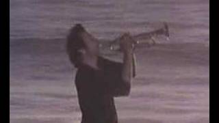 Herb Alpert - Rise