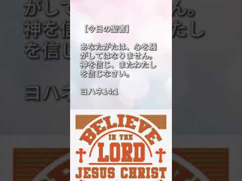 わたしを信じなさい［ #毎日30秒聖書メッセージ ］#shorts