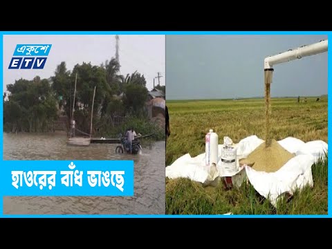 পাহাড়ি ঢলে ডুবে যাচ্ছে হাওরের ফসল