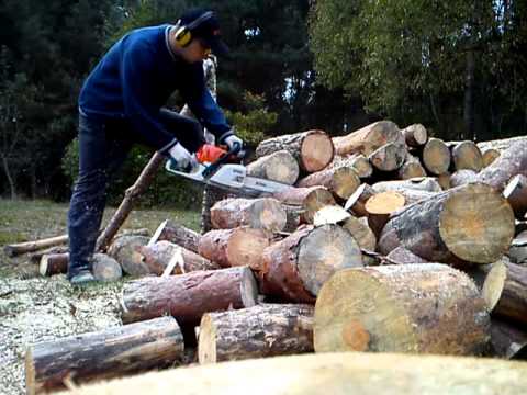 Stihl Ms 231 Im Preisvergleich Bei Preis De Online Bestellen