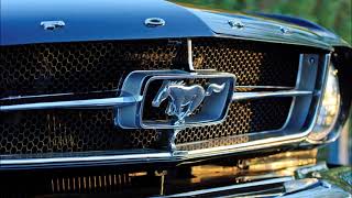 Madagascar - Here Today, Gone Tomorrow