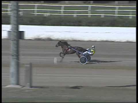 Trotto 02/11/2014 - 1° prova di riqualifica