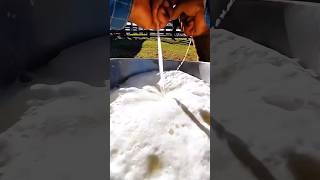 Download lagu Milk’s Dark Secret: Why Dairy Cows Never Get a Break#dairycows #milkindustry #cowfacts mp3 Download lagu Milk’s Dark Secret: Why Dairy Cows Never Get a Break#dairycows #milkindustry #cowfacts mp3