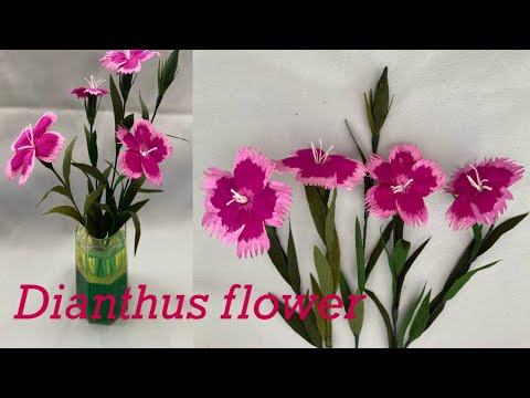 How to make Dianthus flower with paper