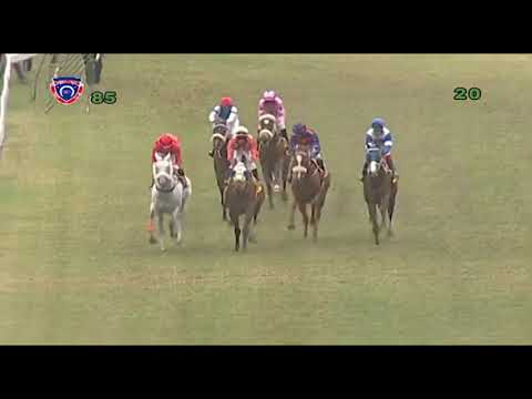 Mauritius Horse Racing 8th Meeting 2020