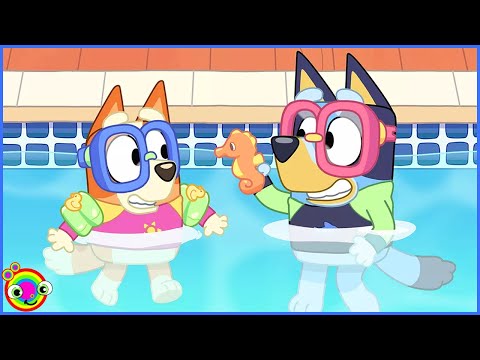 Bluey | The Pool | Disney Junior | min min playtime kids