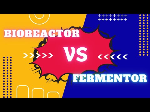 Difference between Bioreactor & Fermentor explained in detail |Bioreactor vs Fermentor| Bioprocess