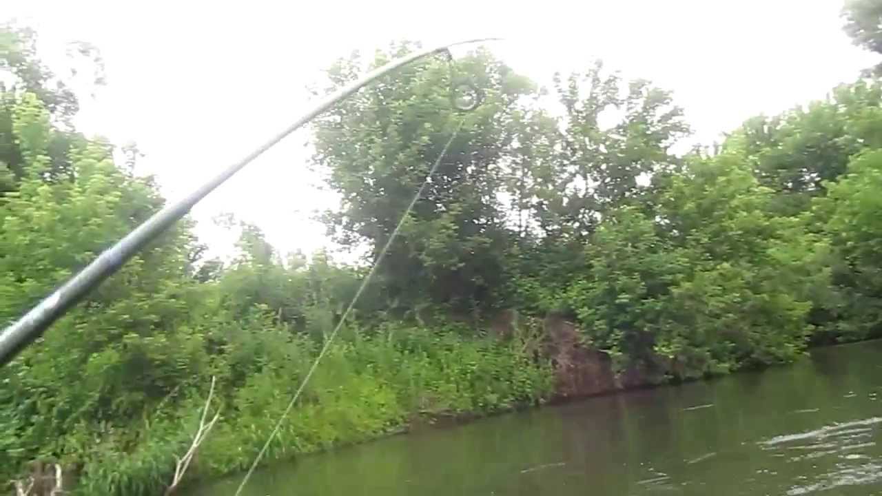 Вiдео Блешня Маніячка Догматика 2.1г