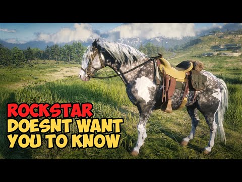 The Easiest Way to Get the Best Horse Early in RDR2!