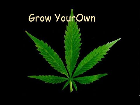 Vapor Pressure Deficit Chart.(Read text in description)