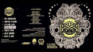 Electric Sasquatch - Divinorum