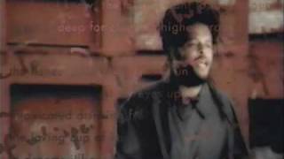 UB40 - Higher Ground - USA Song video