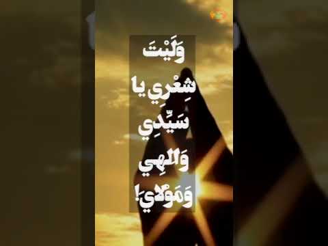 ⁣من #دعاء_كميل | مصطفى الموسوي