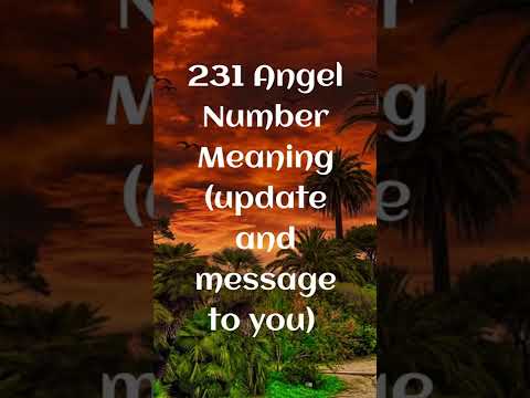 231 Angel Number Meaning ⭐(update and message to you) #shorts