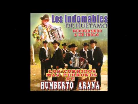 La Muerte de Humberto Arana - Los Indomables de Huetamo