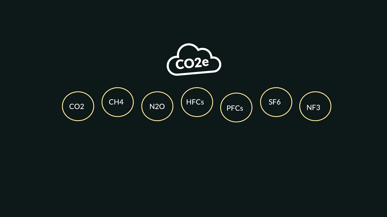 Carbon accounting concepts and definitions explained
