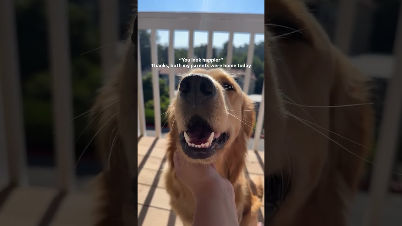 Best. Days. Ever.🫶🏼