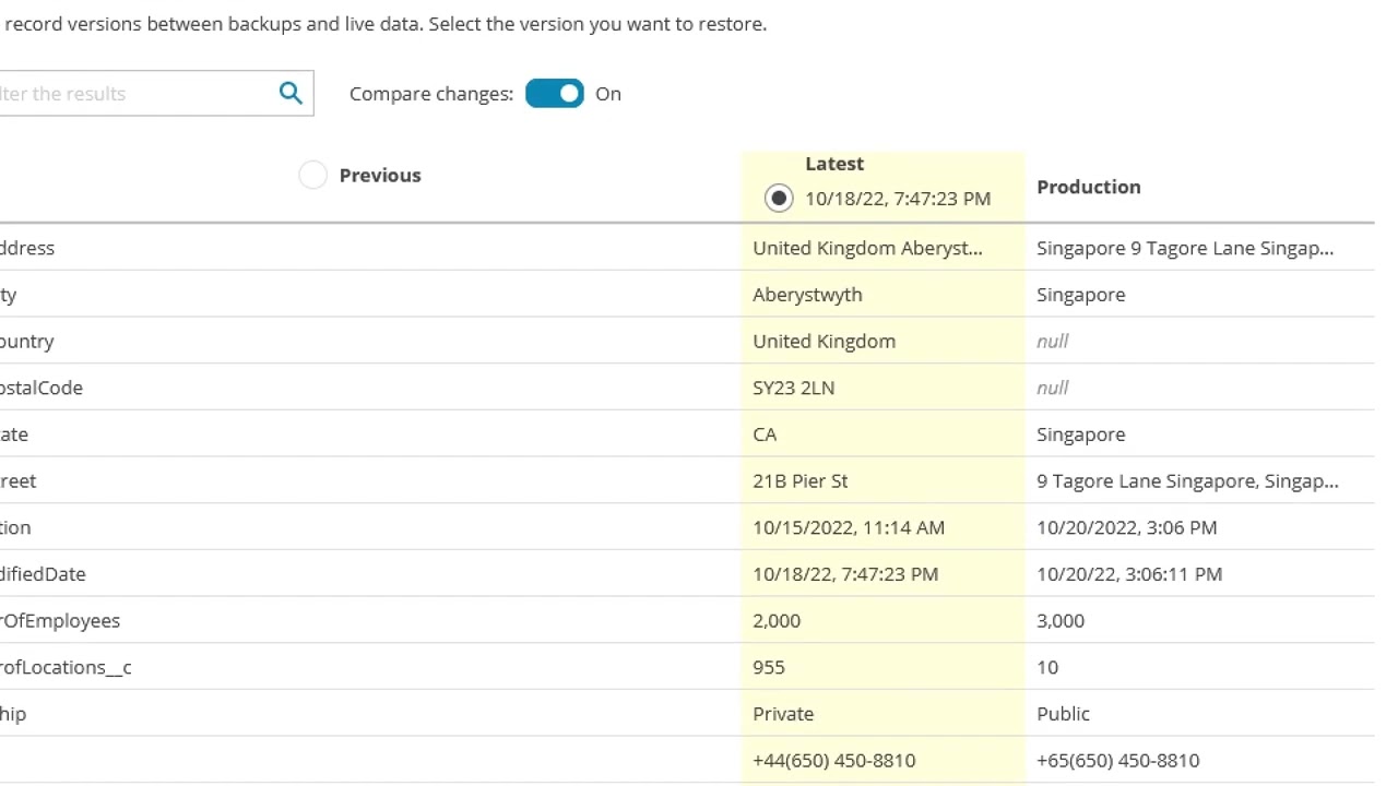 Salesforce Backup Demo video