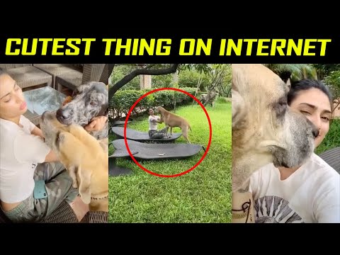 CUTE ! Athiya Shetty Playing Wth Her Pets Dog Is The Cuestest Thing Will See On Internet.