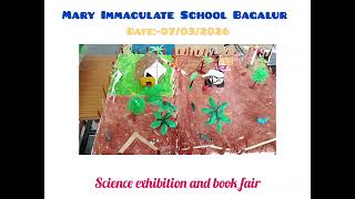 Mary Immaculate School Video