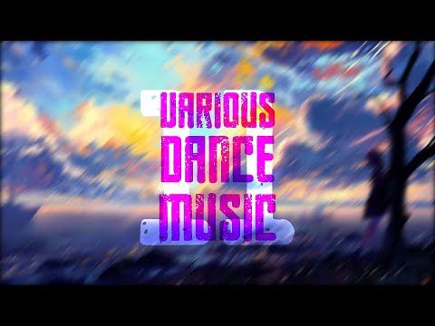 Various Dance Music 11 Summer Heat [#VDM11] - T&H Project & Icedream