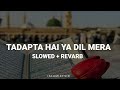 Tadapta Hai Ye Dil Mera | Nahi Hai Koi Duniya Main Hamara Ya Rasoolallah (Slowed + Reverb) Naat❤