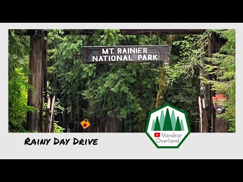 Rainy Day Drive at Mt Rainier National Park