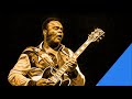 Freddie King - It Hurts Me Too