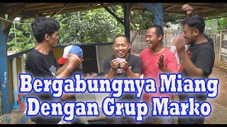 Download lagu Bergabungnya Miang Menjadi Anak Buah Marko mp3 Download lagu Bergabungnya Miang Menjadi Anak Buah Marko mp3