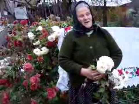 MOV00609 Din Ciocotis.