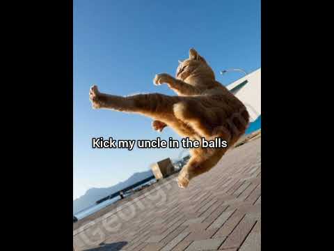 Farted in the elevator by @alexschor full video on my channel #cat #foryou #funny #georgieebom