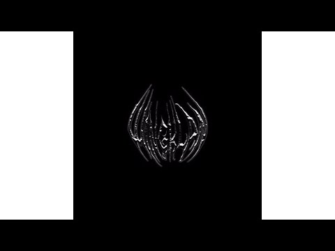 JOE SCACCHI x MAXIMILIAN - MAISON