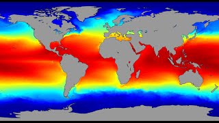 40 years of Sea Surface Temperature [1980-2019]