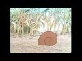 Classic Sesame Street S For Snail