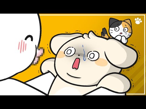 Why Dogs Hate Kisses