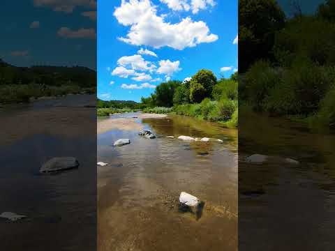 cruz de caña cordoba