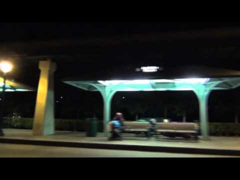 The Scarred - Anaheim