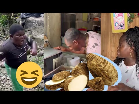 My Blood Cooks Yams in the Microwave #viralvideo #humor #video