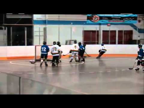 DRRH PEEWEE DIVISION ROLLER HOCKEY TOURNAMENT FINALS 2014