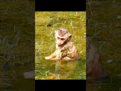 LEo Sit In Water becasue Libby