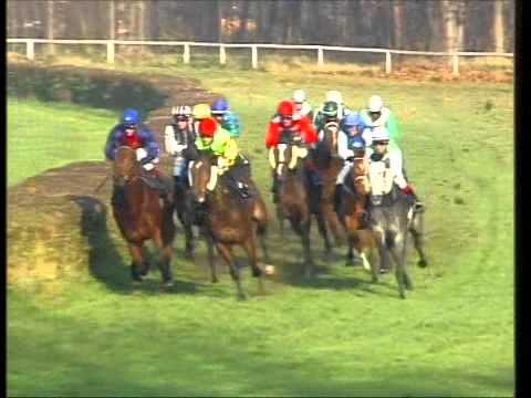 Galopprennbahn Dresden - 16.11.2011 - 5.Rennen
